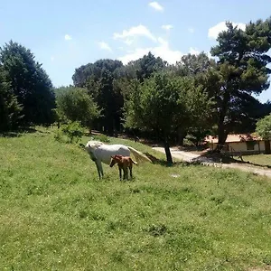 https://agriturismo-fattoria-pianetti.sicilyhotelsitaly.net